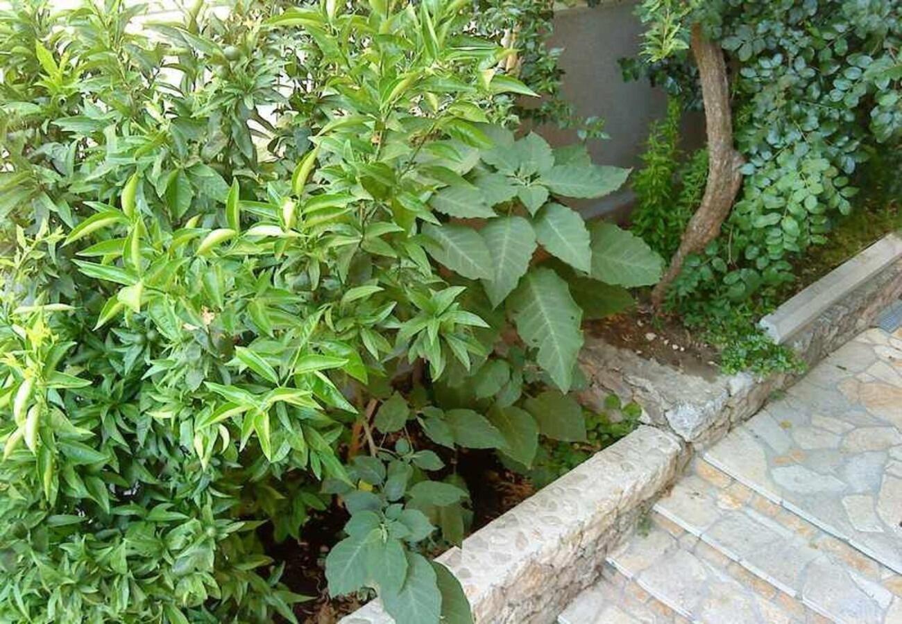 Bor Apartment Makarska
